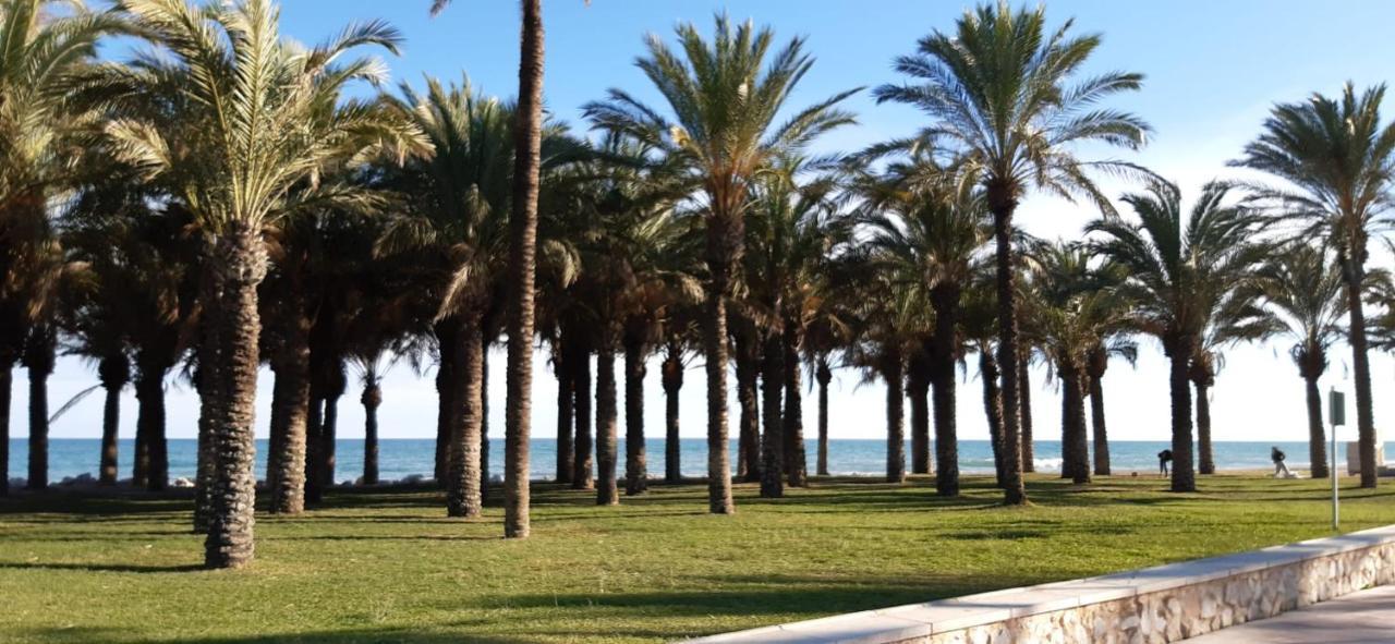 Flamingo Sol Home توريمولينوس المظهر الخارجي الصورة